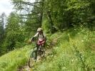 kristof